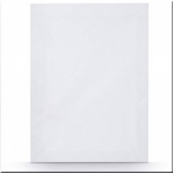 LIENZO 50X60 - UNIDAD